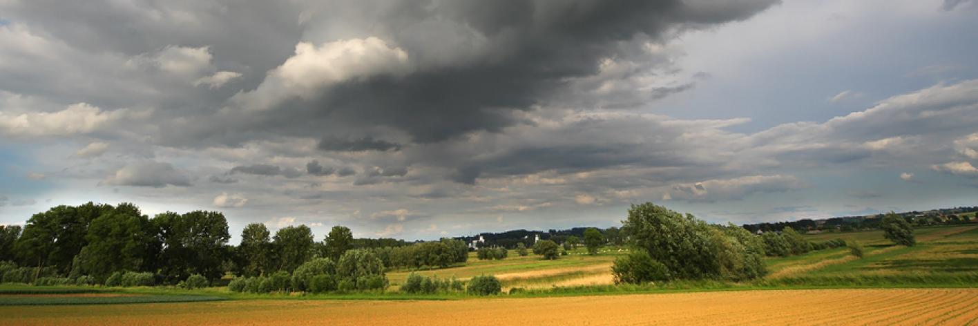 Landbouw