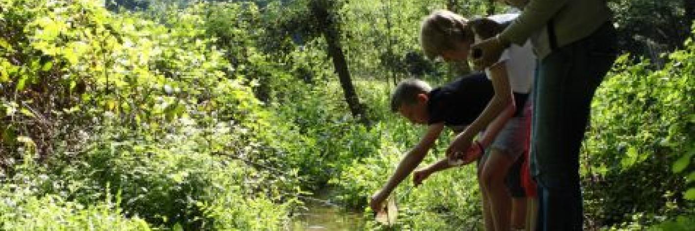 Natuurbeleving