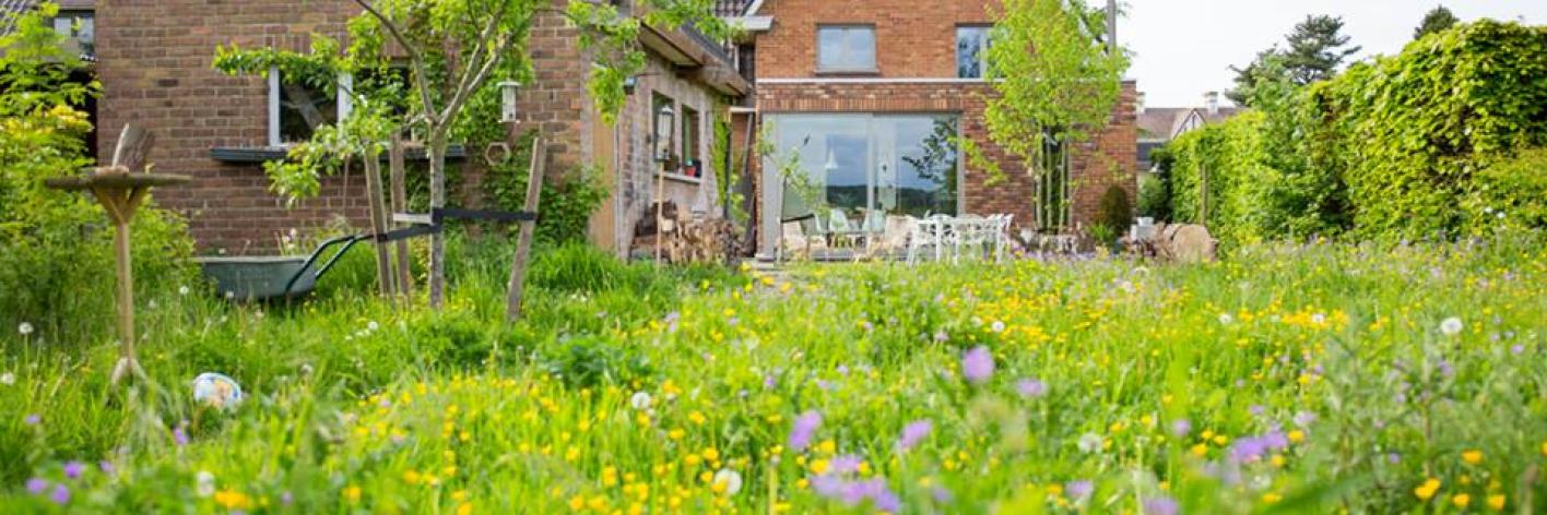 Natuurlijke tuin met hoger opgaande vegetatie 