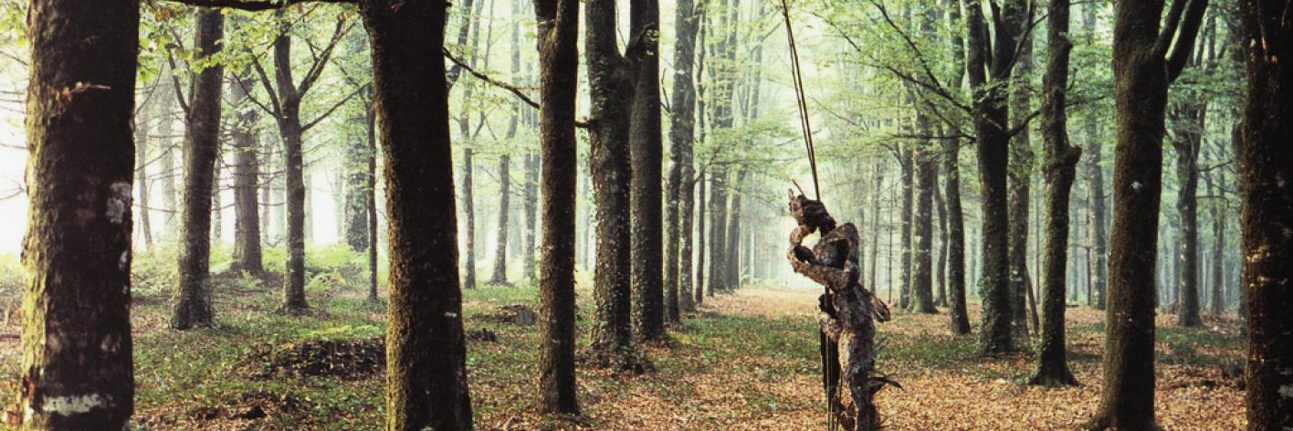 Penone - Arte povera