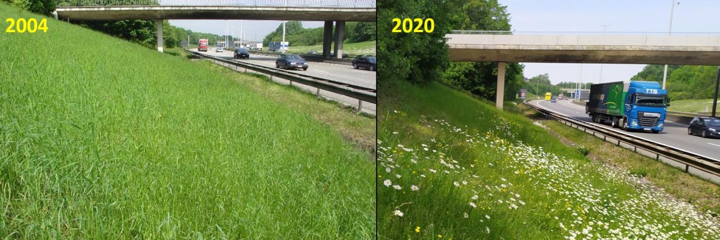 Brusselse ring 2004 versus 2020