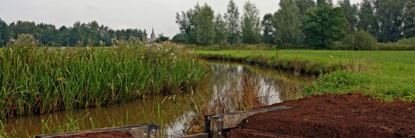 Stuw in de Netevallei