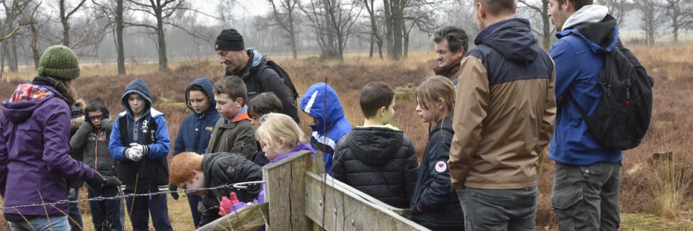 St.-Elisabeth Heidebeheer op Resterheide 