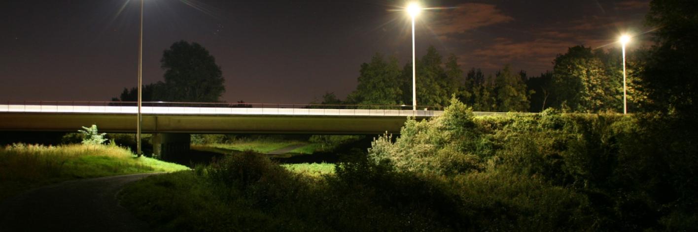 Straatverlichting heeft een grote invloed op het omringende landschap