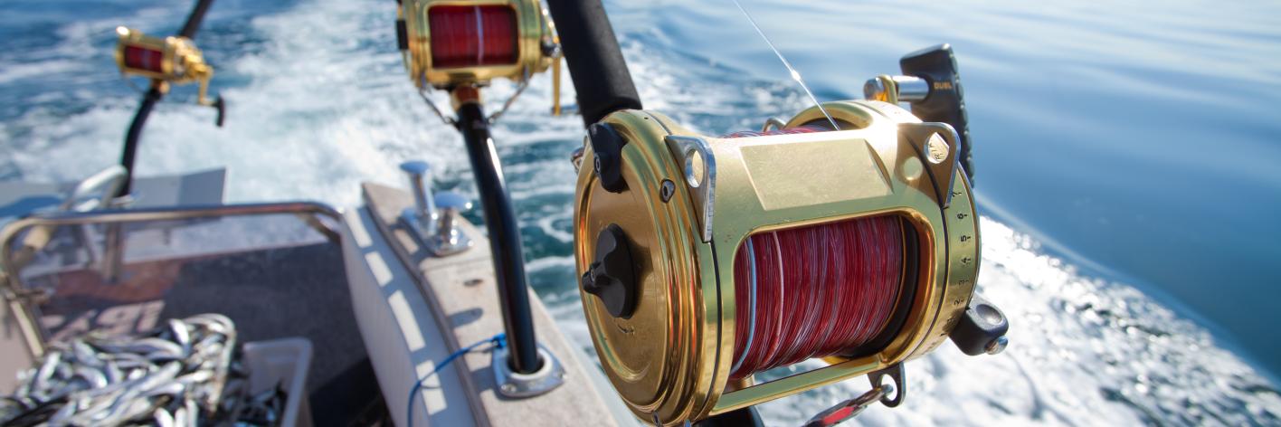 Natuurgebieden op zee ook noodzakelijk voor visserij