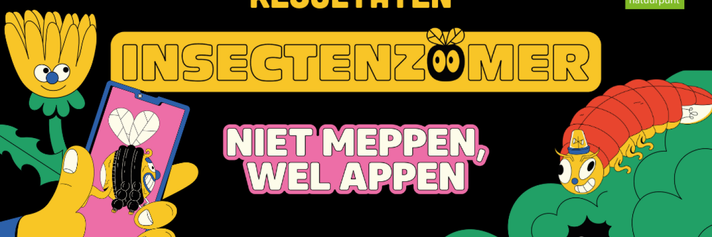 Insectenzomer