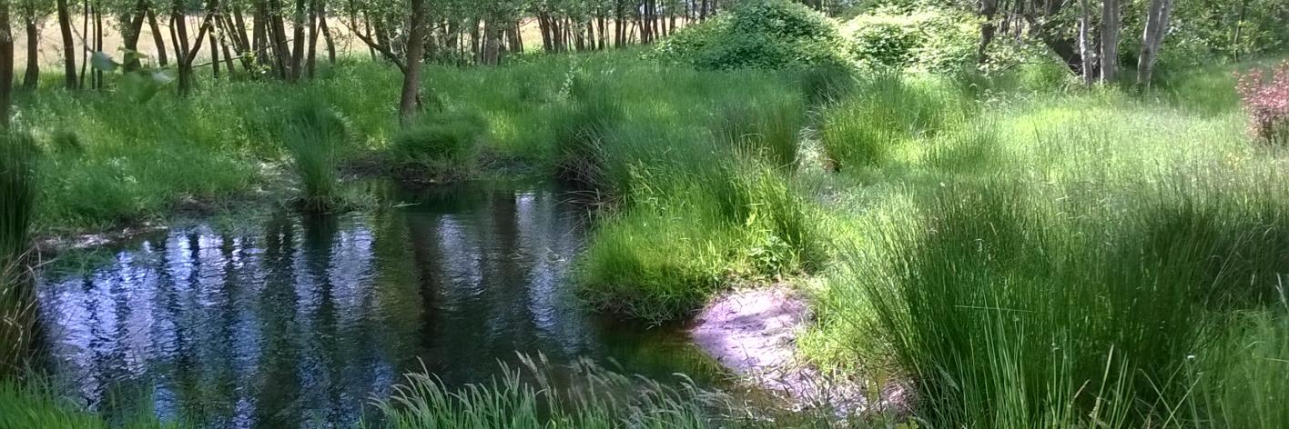 Prinsenveld