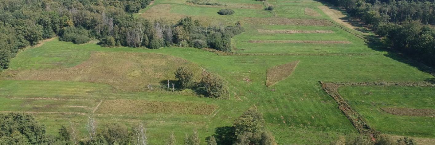 Vallei van de Zwarte beek