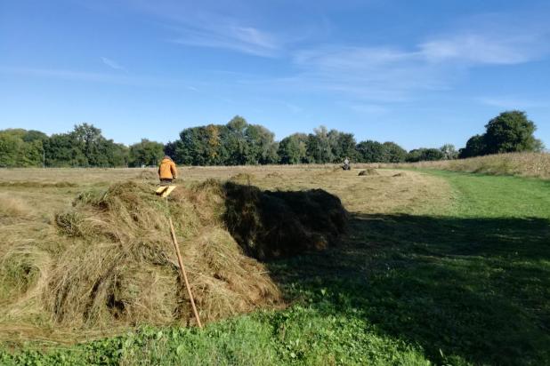Den Bocht eind september na maaibeurt