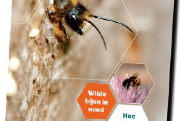 Gratis gids Wilde Bijen in Nood