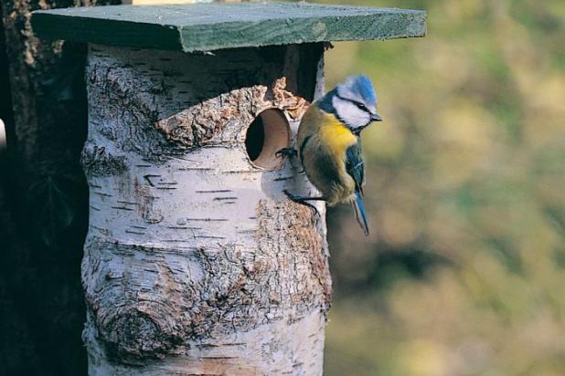 Nestkast - Meesjes - Natuurpunt Winkel