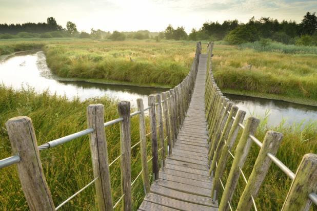 Hageven - Hangbrug - Vilda