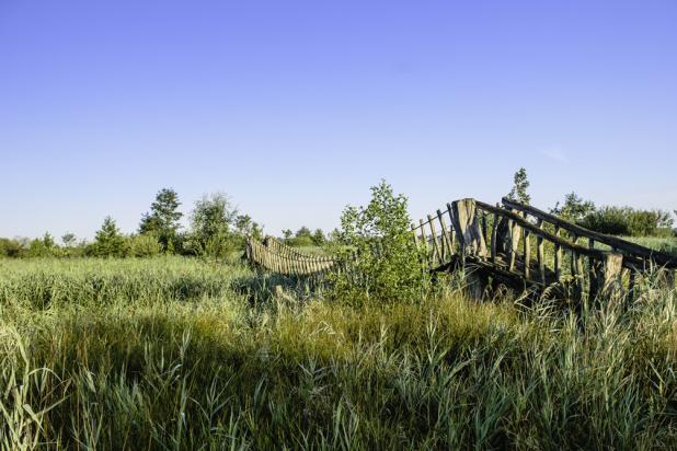 Hangbrug Hageven - Stefan Nimmegeers