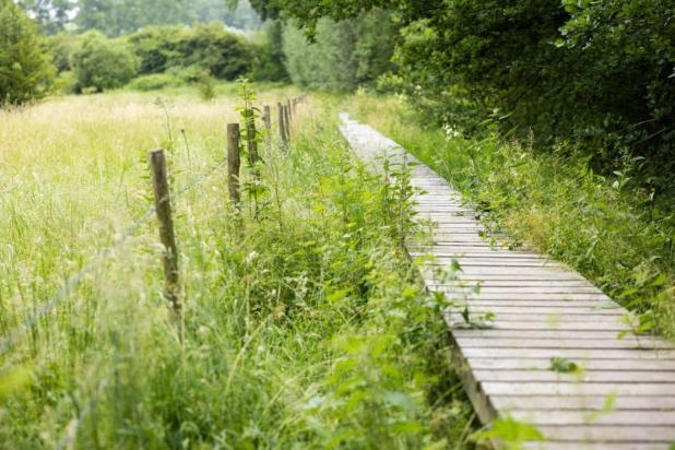 Kom op tegen Kanker - Wandelpad Zwalmvallei