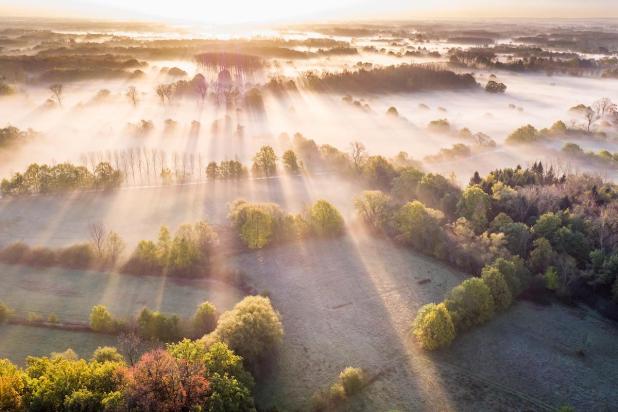 Natuurbeeld Mispeldonk - Wim Dirckx