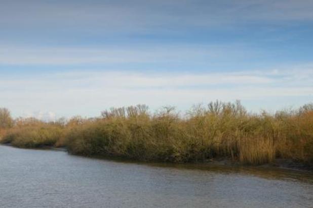 Natuurpunt_Klein_Brabant-D.schowanek