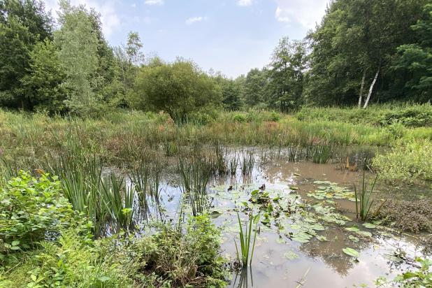 natuurpunt_westerlo