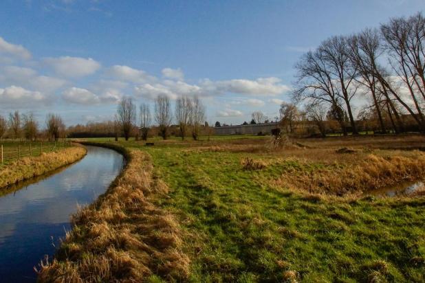 gaverbeekse_meersen_-_natuurpunt_waregem-peter_depodt