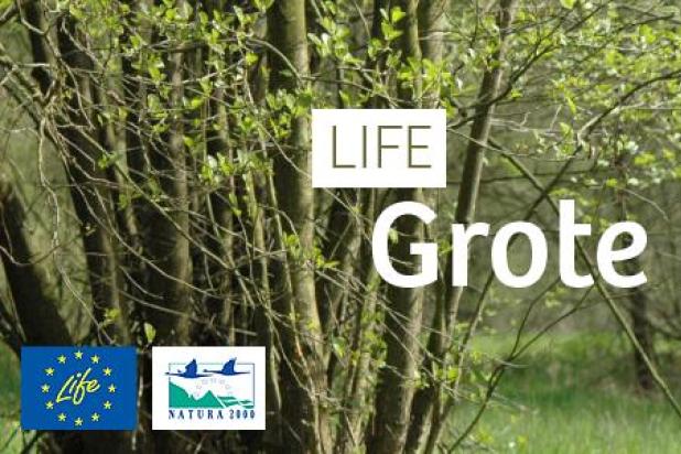 header_-_life_grote_netewoud