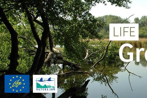 life-greenvalleys