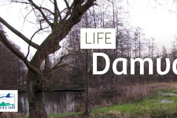life_header_damvallei