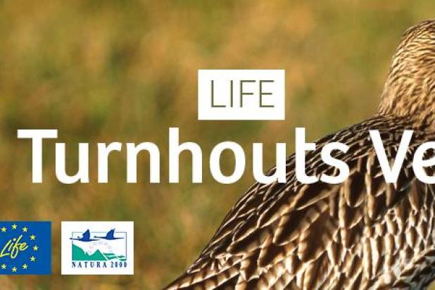 life_turnhouts_vennengebied