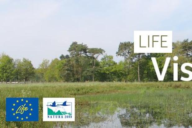 life_visbeek_-_header