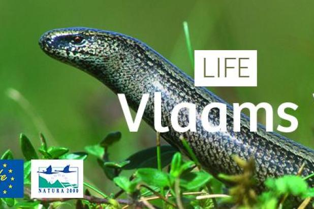 life_vlaams_veldgebied_-_header