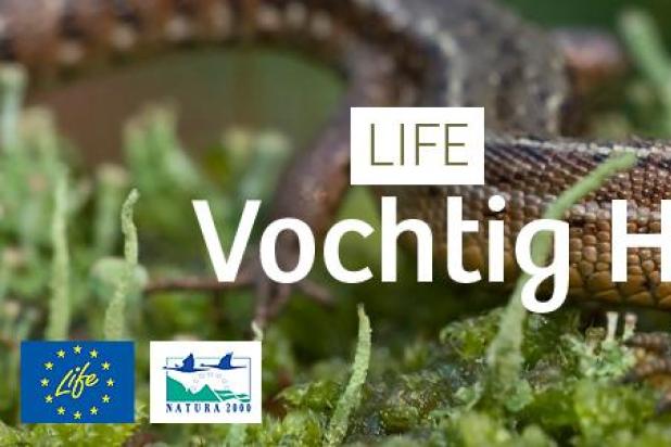 life_vochtig_haspengouw_-_header