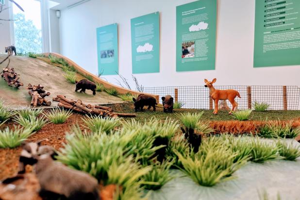 Tentoonstelling 'Egelwegels en paddenpaden'