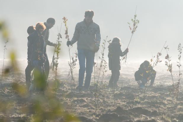 Plant bos met je bedrijf