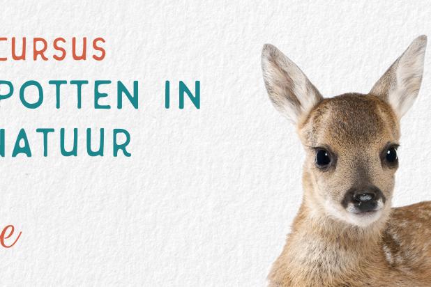 Cursus wild spotten - ree