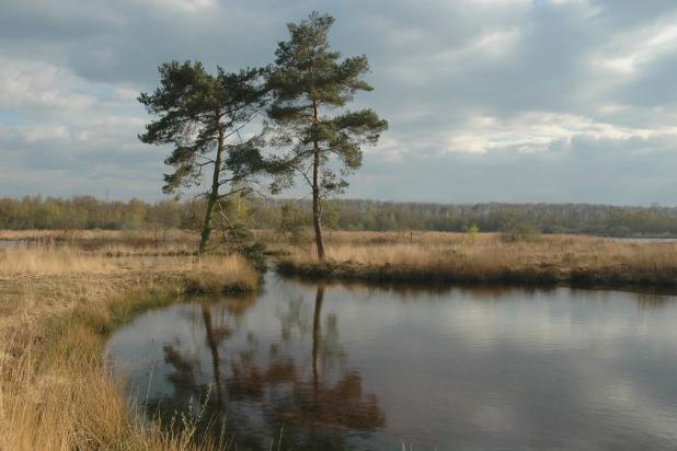 De Maten in Diepenbeek