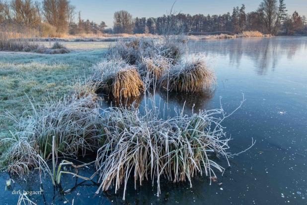 Winter in de Damvallei