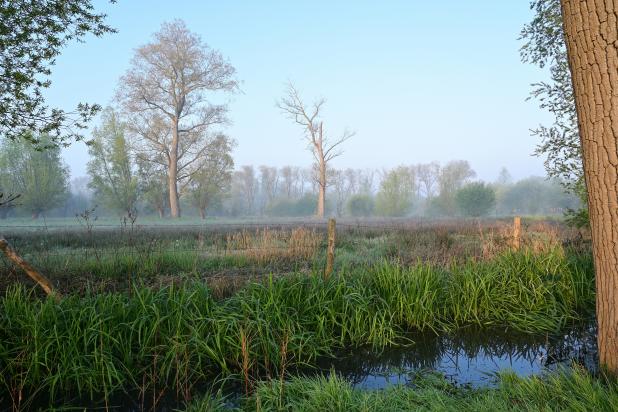 Keuzemeersen
