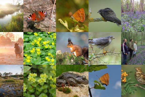 Natuurpunt Pajottenland & Zennevallei