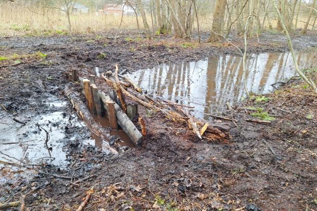 Dichtgestopte gracht in de vallei van de Grote Beek