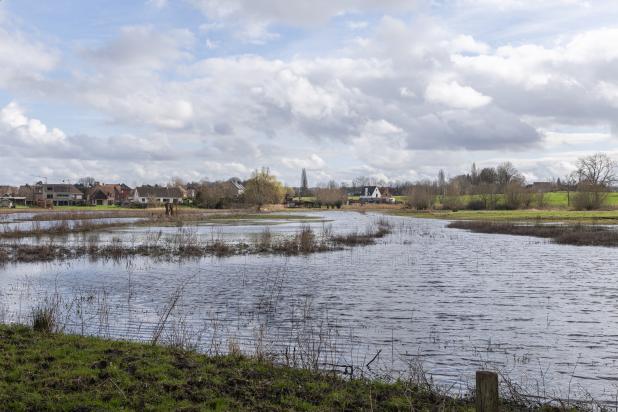 Scheldemeersen in Merelbeke