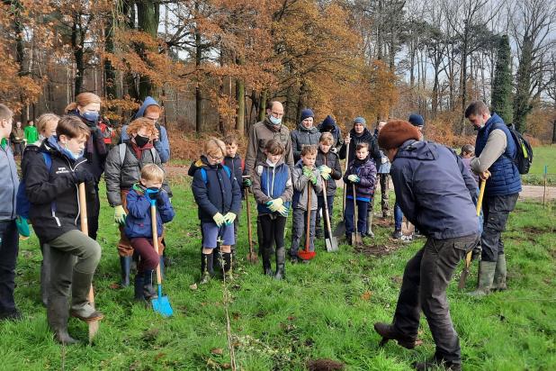 vorselaar-boomplantactie