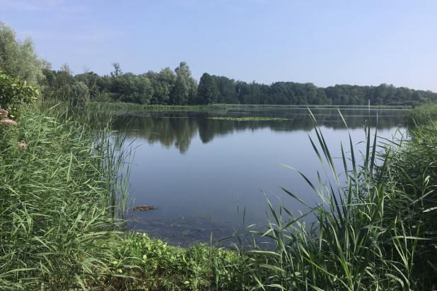 vorselaar-lovenhoek-vijver