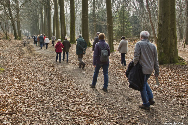 vorselaar-molenbos-opening_wandelpad