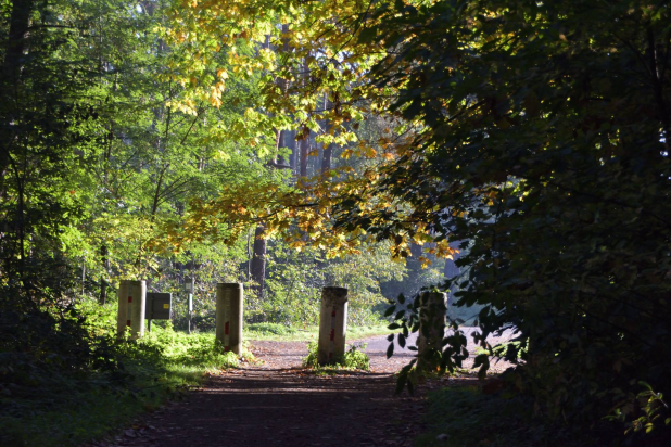 vorselaar-molenbos-opening_wandelpad