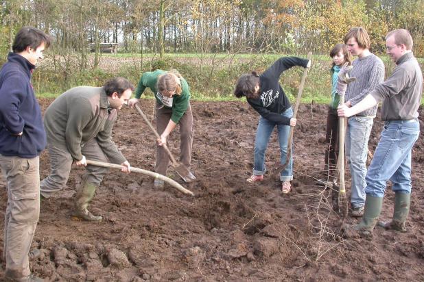 vorselaar-schupleer-boomplantdag