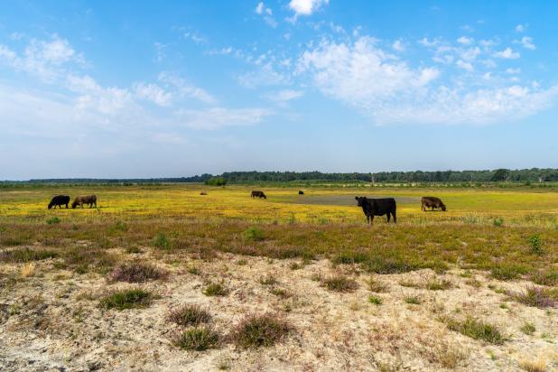 Bijenreservaat Hageven