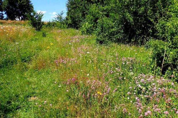Bijenreservaat de Rosdel