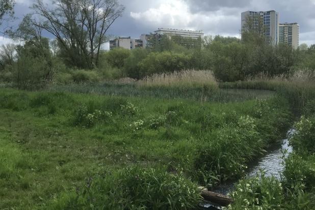 Molen- & Maalbeek wandeling