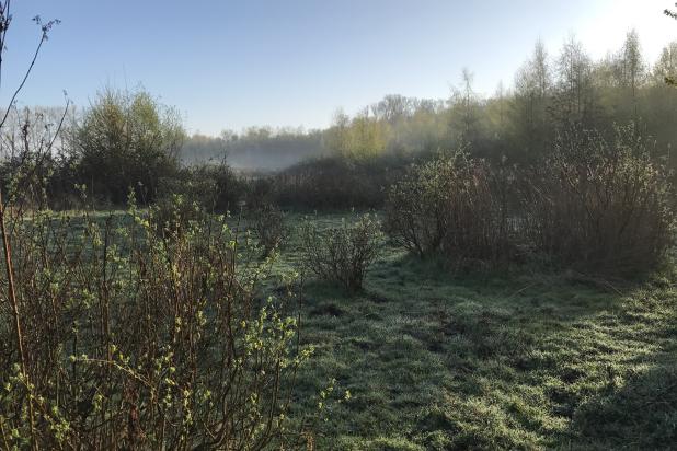 Bijenreservaat Bos t' Ename