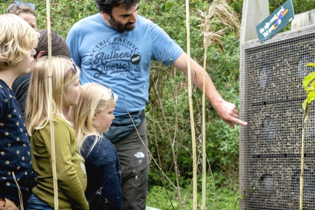 Bijenreservaat de kleiputten van Terhagen
