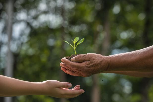Future generations