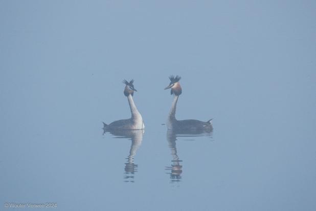240505_WOUTER VERWEE_HARCHIES_FUUT2